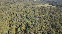 2: Drone Stills